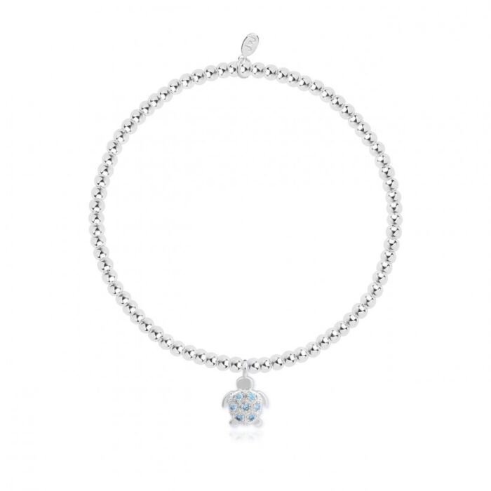 Joma Jewellery - a Little Turtley Awesome